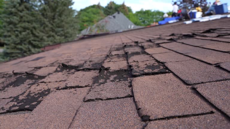 Best Storm Damage Roof Repair  in Stewart Manor, NY